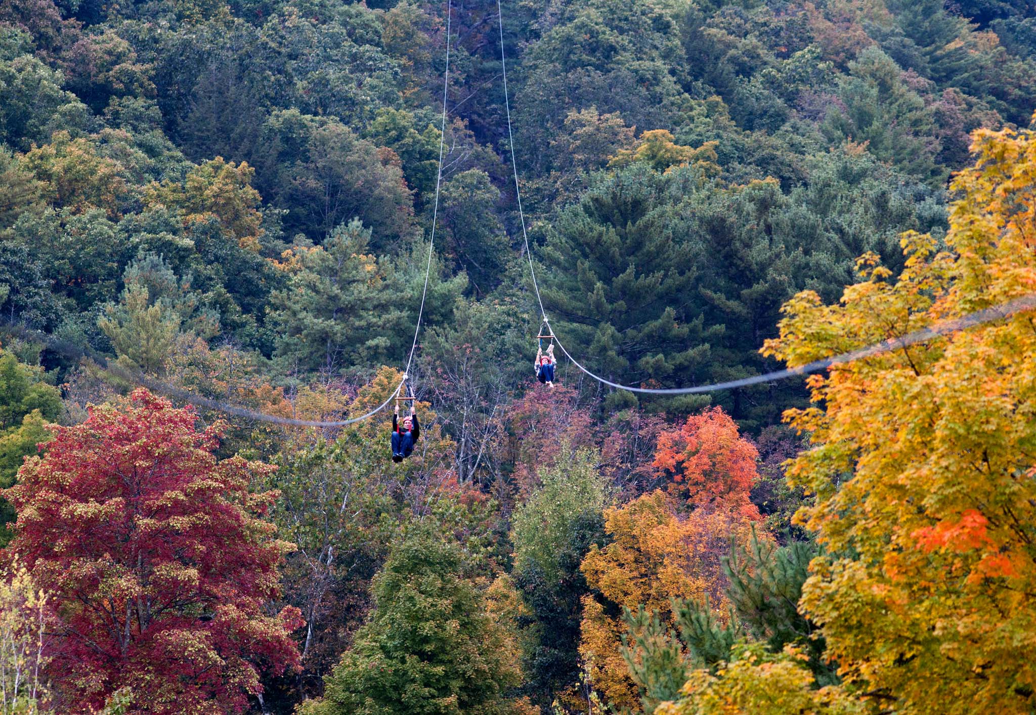 Zip Rides Big Zip Rides - Bonsai Design | World-Class Adventure Course Providers