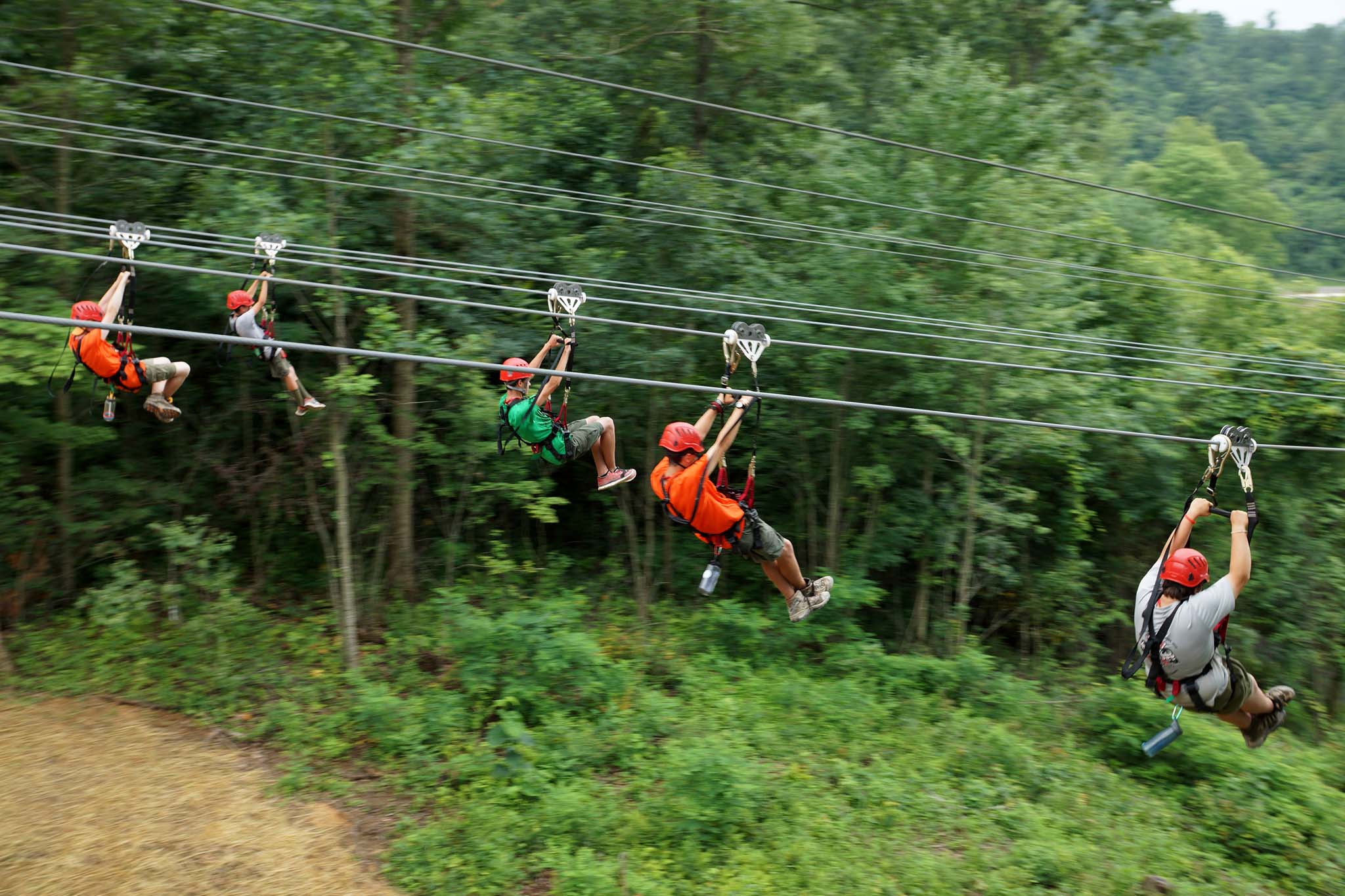 Zip Rides Big Zip Rides - Bonsai Design | World-Class Adventure Course Providers
