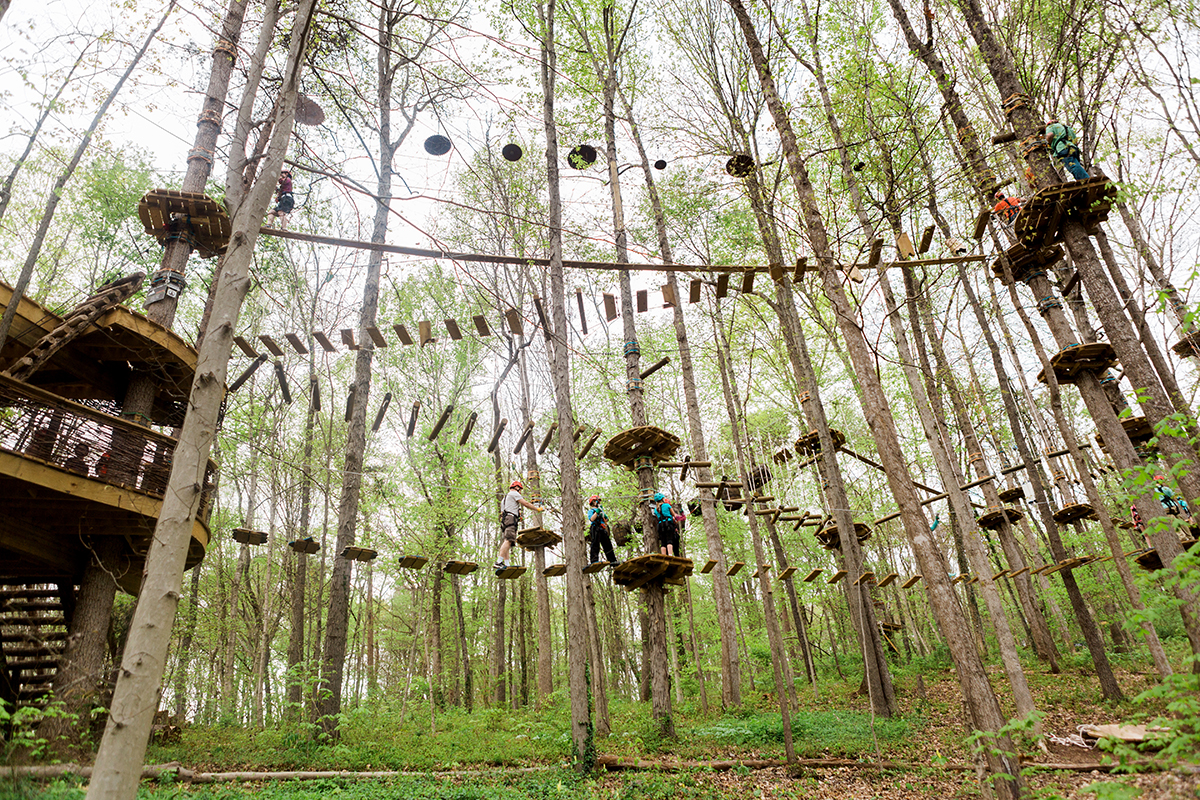 Navitat Canopy Adventures - Bonsai Design | World-Class Adventure ...