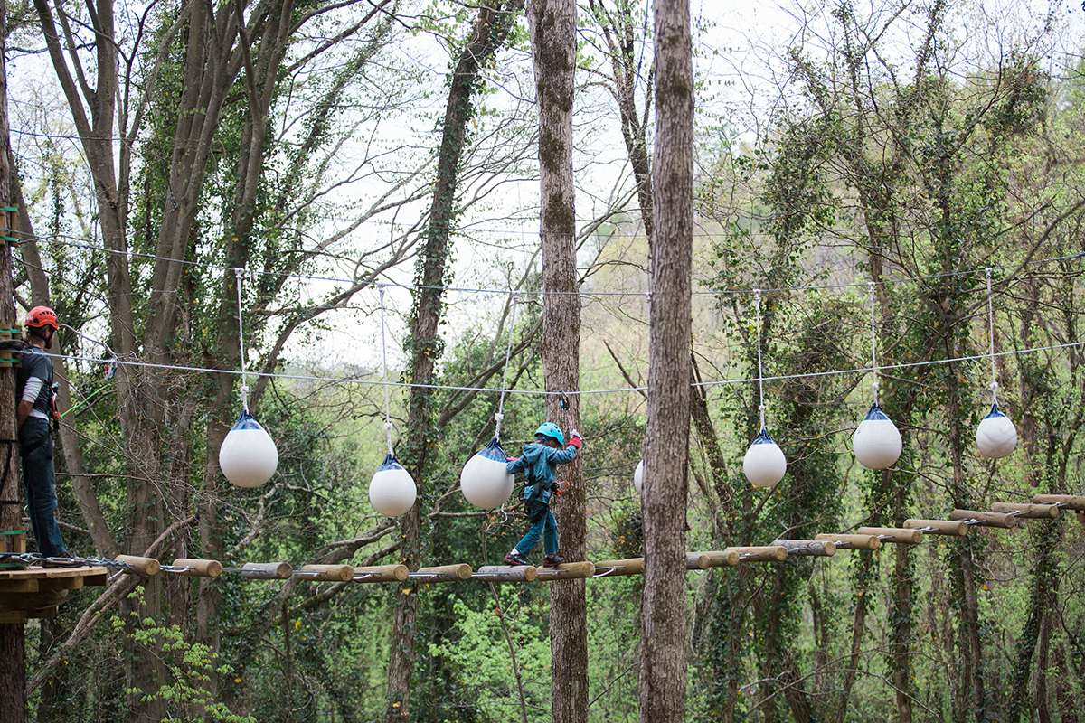 Navitat Canopy Adventures - Bonsai Design | World-Class Adventure ...