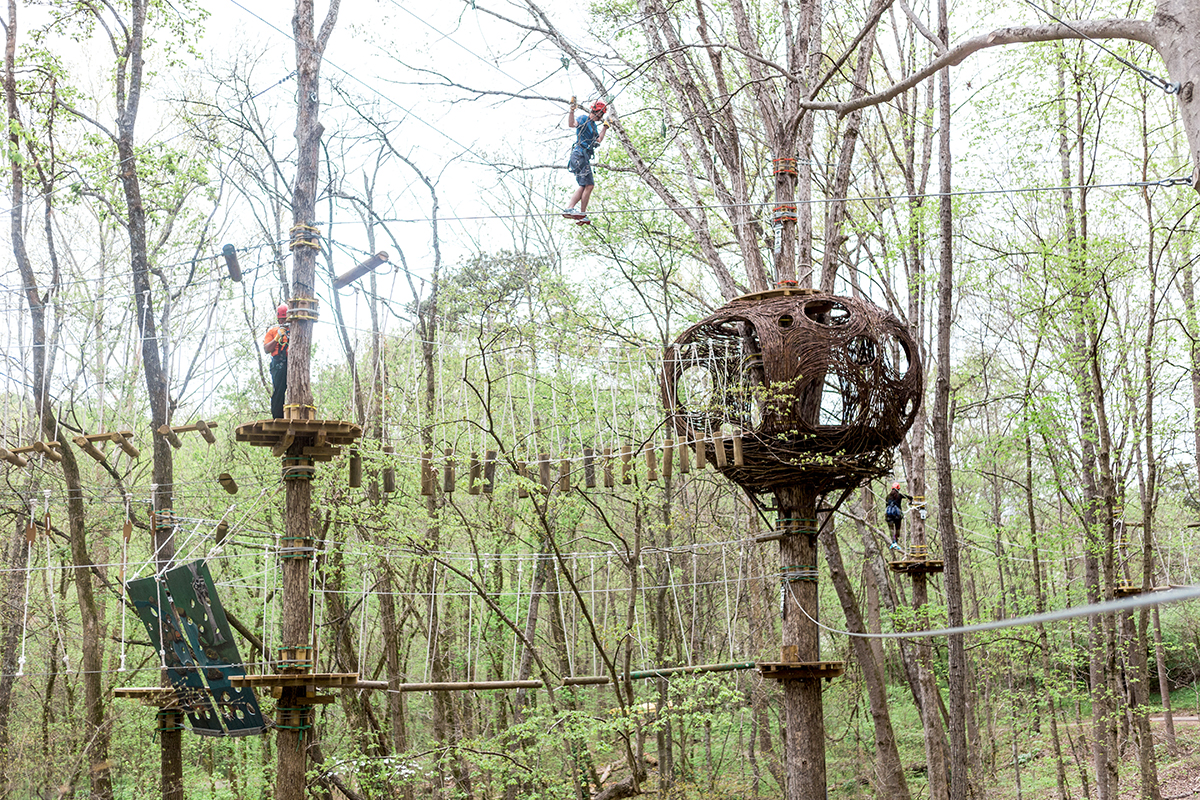 Navitat Canopy Adventures - Bonsai Design | World-Class Adventure ...