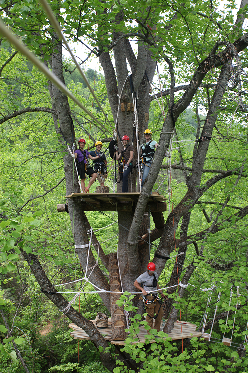 Navitat Canopy Adventures - Bonsai Design | World-Class Adventure ...